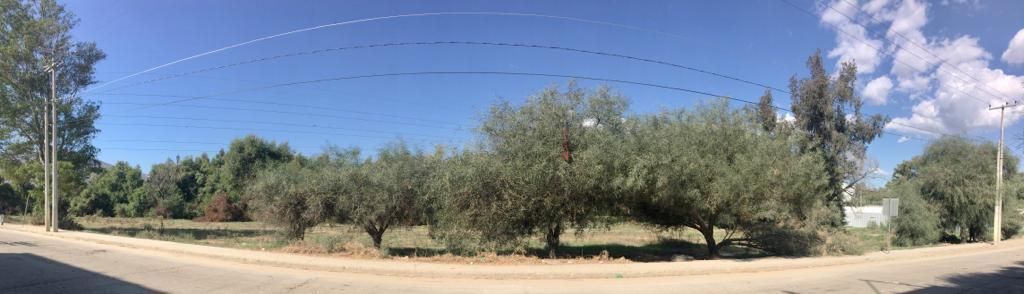 Terreno mixto en venta en Tecate